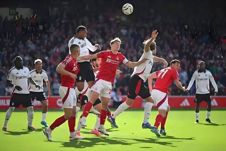 关于摩纳哥球员为胜利努力，最终成功击败对手的信息