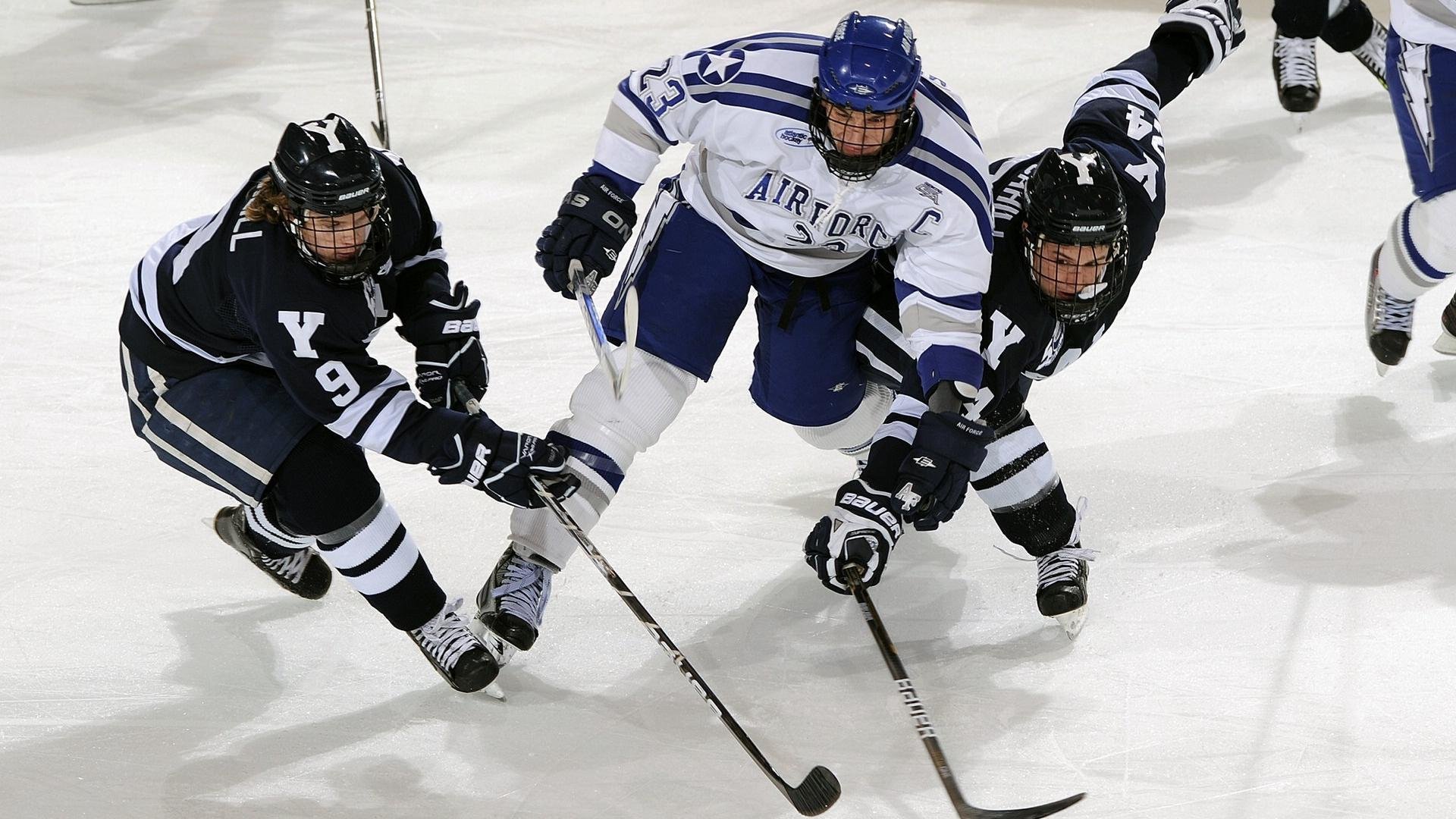 黄蜂的节奏掌控者,小贾伦如何成为撕裂浙江防线的关键先生